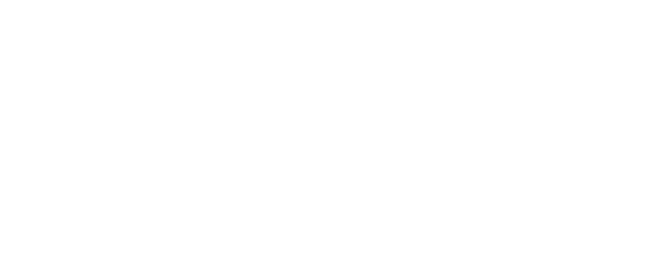 Dublin City Council logo white