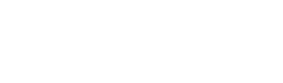 Dublin City Council logo white